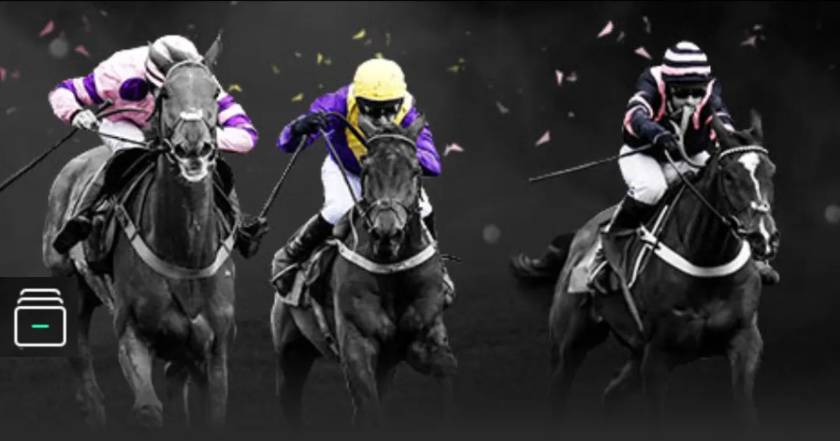 季后赛,沪浙对决,半岛体育,半岛,BanDao,半岛注册网址,半岛app,半岛官网,半岛网站,半岛下载