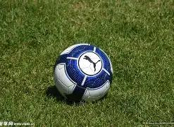 莱比锡对阵,达姆施塔特,轮德甲对决,半岛,BanDao,半岛注册网址,半岛app,半岛官网,半岛网站,半岛下载